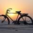 L'oiseau sur le vélo