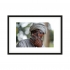 Exemple de la photo en impression papier en condition cadre