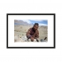 Example of photo printing papier cadre requirement